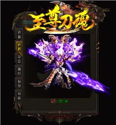 烈焰天龙八部私服辅助